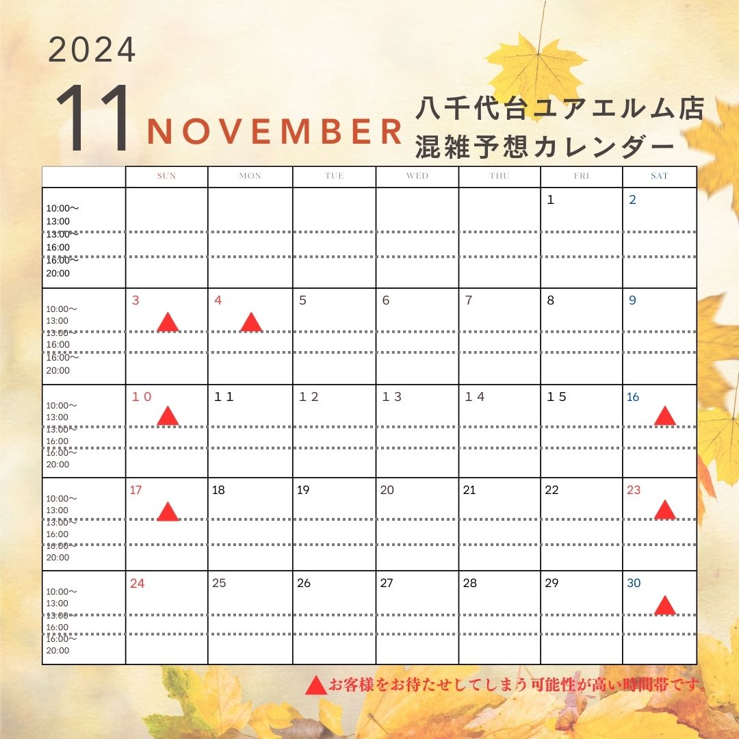 11月